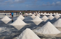 Vietnam’s salt industry must adapt: official