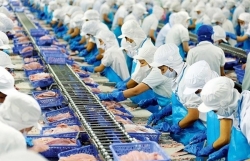 Pangasius exports exceed expectations