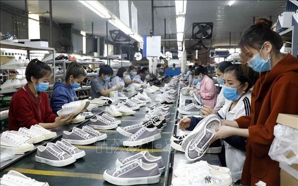 Positive signs seen in footwear export hinh anh 1