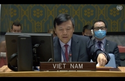 Việt Nam shares experience in poverty reduction, crisis management at UN session