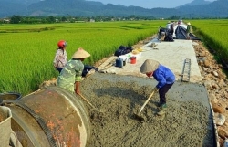 VN to build a modern and sustainable agriculture economy by 2030