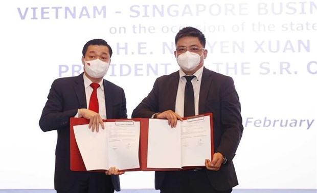 Vietnamese, Singaporean firms sign cooperation deals worth nearly 11 billion USD hinh anh 1