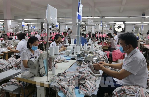 HCM City’s industrial production falls over 21% in January hinh anh 1