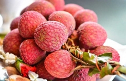 Vietnamese fruits hold lion’s share in Australian market