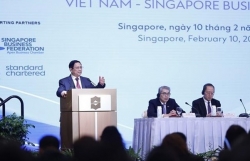 Prime Minister attends Vietnam – Singapore business forum