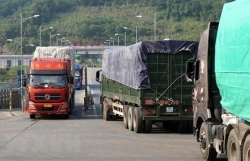 Vietnam-Yunnan province (China) trade ties below potential: Official