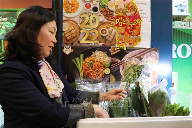 Vietnamese agricultural products increasingly welcomed in Belgium hinh anh 2