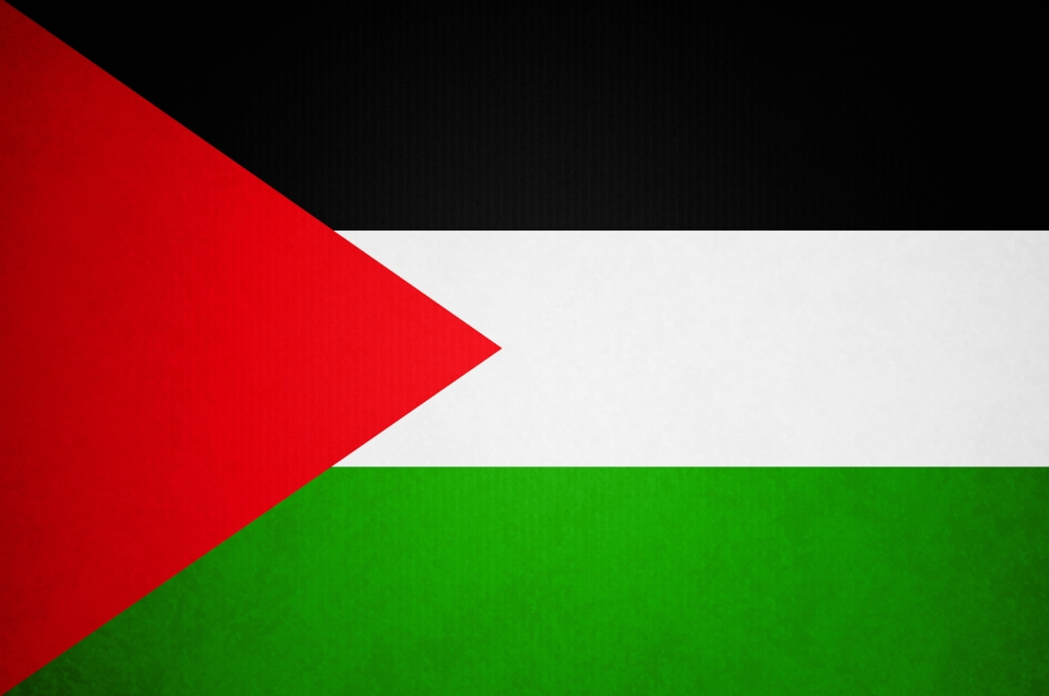 palestine becomes the 156th contracting party to the harmonized system convention