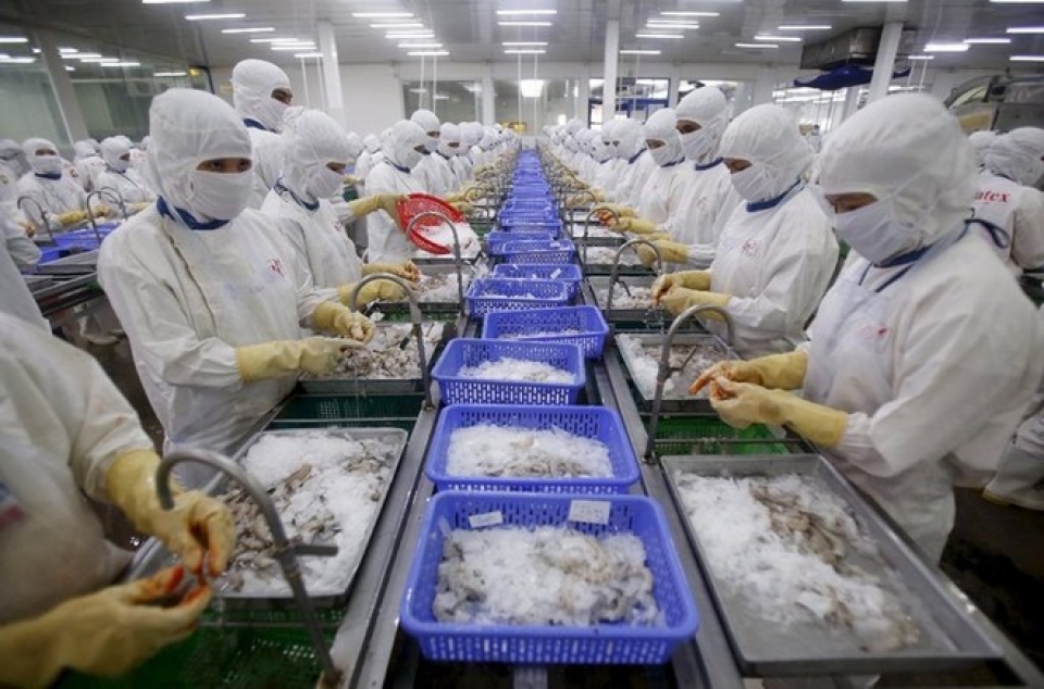 australian ban on vietnamese shrimp could drown exporters trade official