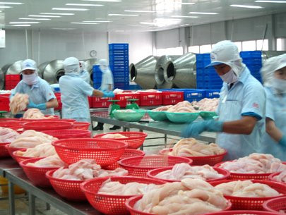 tra fish exports to brazil up 172