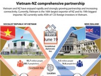 Vietnam-NZ comprehensive partnership