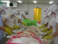 Tra fish exports see positive signs