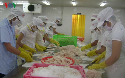tra fish exports see positive signs