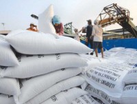 Vietnam sees rice export opportunity to Egypt