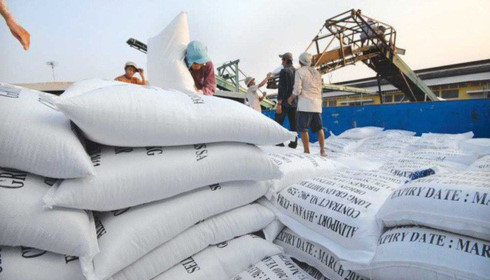 vietnam sees rice export opportunity to egypt