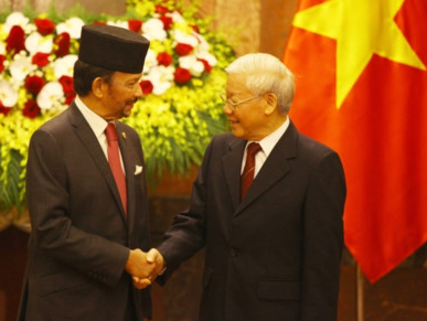 Vietnam, Brunei desire to go into comprehensive partnership