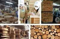 COVID-19 fallout reverberates around wood industry