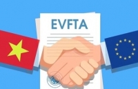 Video: Ministry of Finance urgently developing decree on preferential tariffs under EVFTA