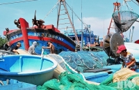 Facing difficulties to remove seafood "yellow card"
