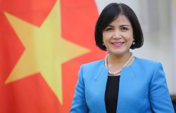 Vietnam participates in WTO negotiations on fisheries subsidies