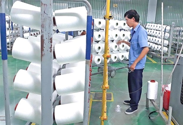 Vietnamese textile industry sees huge export opportunities hinh anh 1