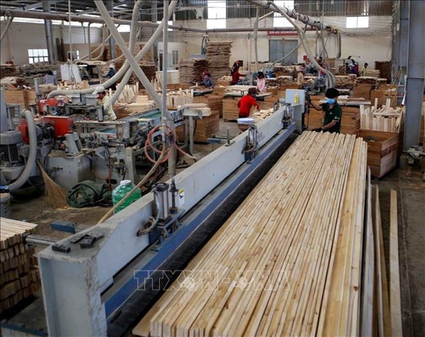 Bright outlook for domestic timber industry hinh anh 1