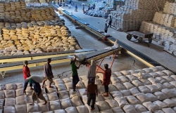 Vietnam ships 638,000 tonnes of rice abroad in Jan-Feb