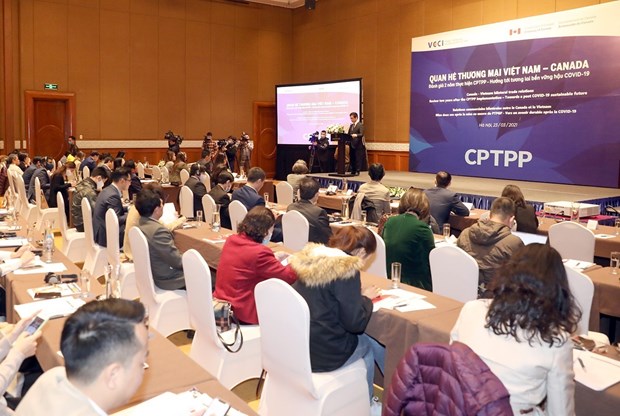 CPTPP benefits Vietnam-Canada trade ties: experts hinh anh 1