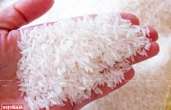 High demands push Vietnamese rice"s prices up: Business Recorder