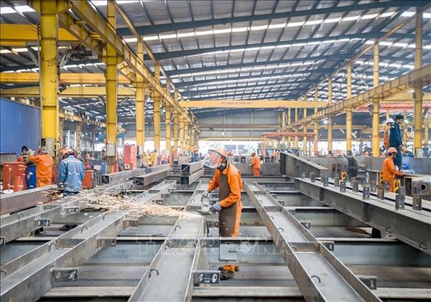 Investment in HCM City’s industrial, processing zones up hinh anh 1