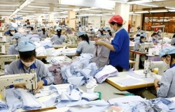 Textile and garment industry focuses on domestic market