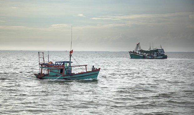 Vietnam boosts satellite-based vessel monitoring to eradicate IUU fishing hinh anh 1