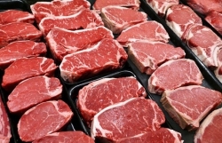 Meat import demand unlikely to grow sharply this year: agency