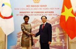 Vietnam seeks to strengthen collaboration with OIF