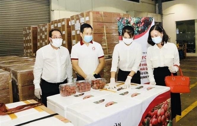 Bắc Giang looks to boost "Thiều" lychee sales in high-standard markets