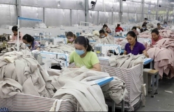 Vietnam gains significant outcomes in developing market economy: Study