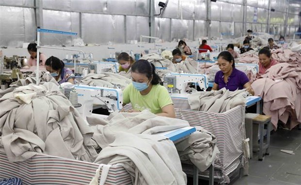 Vietnam gains significant outcomes in developing market economy: Study hinh anh 1