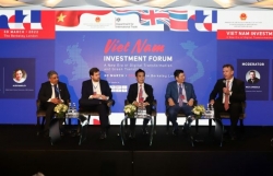 Việt Nam – potential destination for investment in digital transformation, green transition