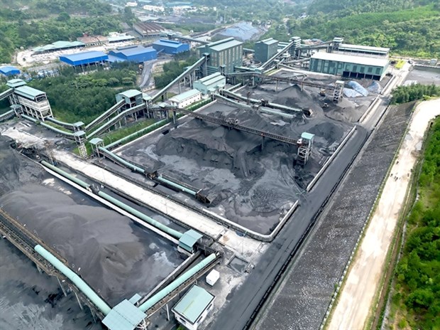 Ministry calls for stable supply of coal hinh anh 1