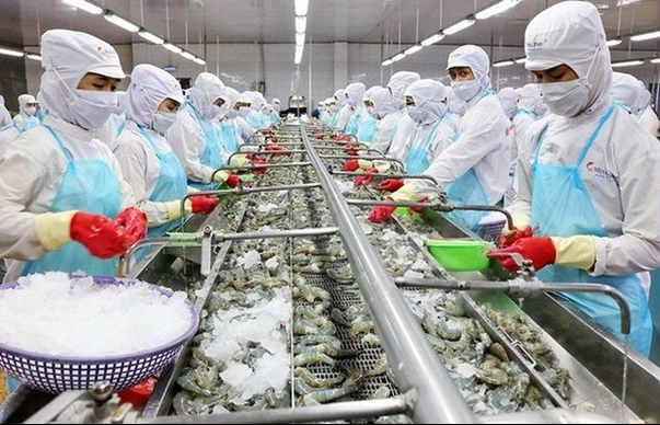 Aquaculture output grows 1.3% in two months