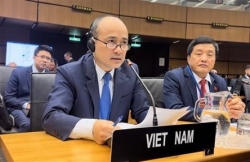 Việt Nam attends IAEA Board of Governors Meeting