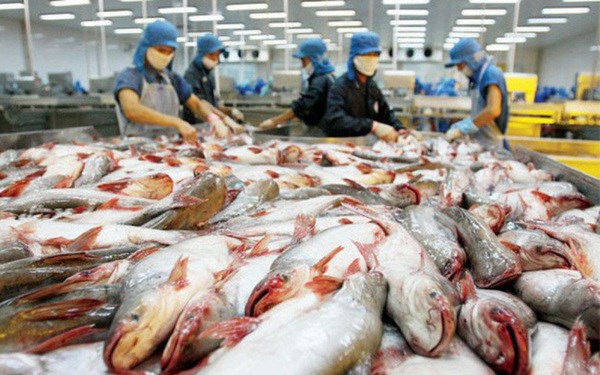 Tra fish exports predicted to recover from third quarter hinh anh 2
