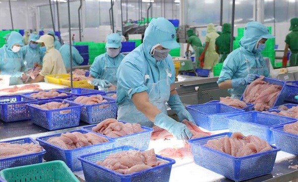 Tra fish exports predicted to recover from third quarter hinh anh 1