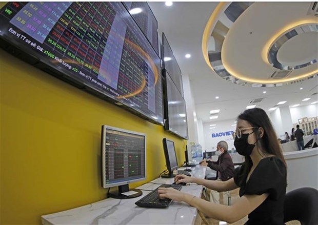 Domestic investors open less than 100,000 new accounts in first two months hinh anh 1