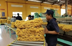 Vietnam – fourth biggest rubber supplier of RoK