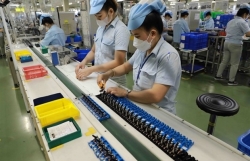 Vietnam to develop policies to adapt to global minimum tax
