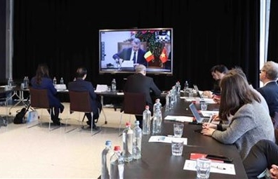 Binh Dinh introduces economic, trade potential to Belgian businesses