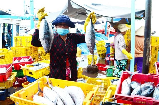 Tuna exporters aiming for smaller markets hinh anh 1