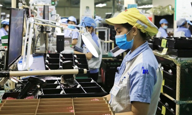 Foreign SMEs pour capital into Vietnam hinh anh 1