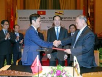 Vietnam, Brunei develop trade relations